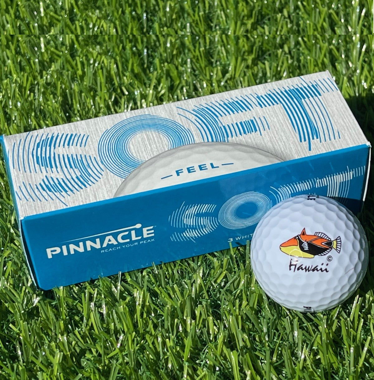 Humuhumunukunukuapua'a Sleeve